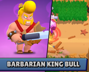 Bull Roi Barbare Skin